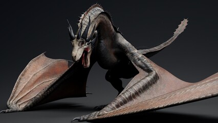 Wyvern Type Dragon 2 of background. 3d model rendering