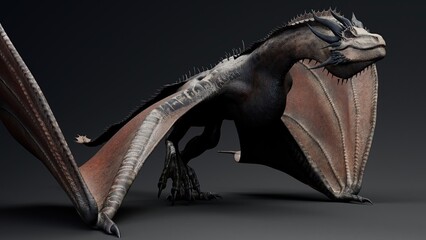 Wyvern Type Dragon 2 of background. 3d model rendering
