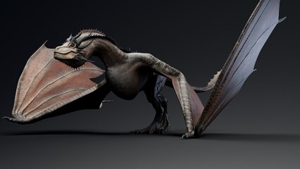 Wyvern Type Dragon 2 of background. 3d model rendering