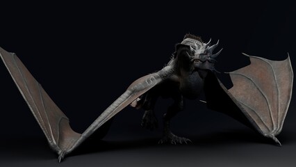 Wyvern Type Dragon 2 of background. 3d model rendering