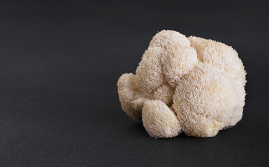 Lion's Mane mushroom on a dark background.