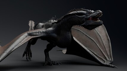 Wyvern Type Dragon 2 of background. 3d model rendering