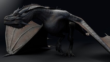 Wyvern Type Dragon 2 of background. 3d model rendering