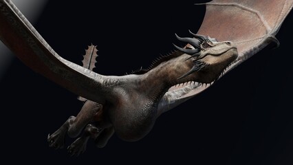 Wyvern Type Dragon 2 of background. 3d model rendering