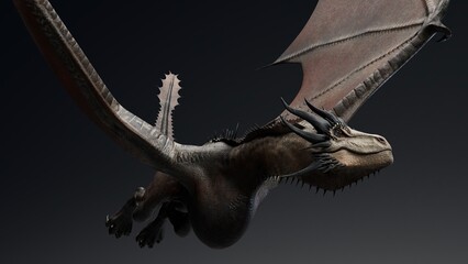 Wyvern Type Dragon 2 of background. 3d model rendering