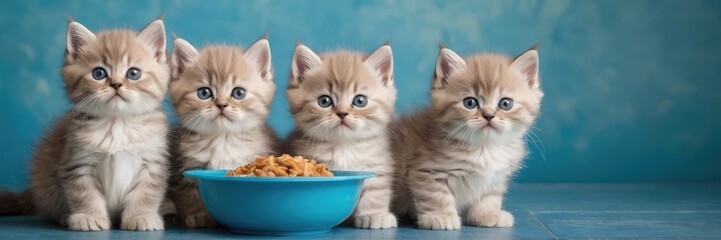 Banner adorable fluffy kittens gathered around a bowl of food against a blue background