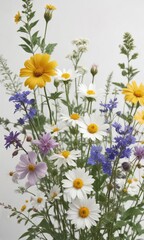 Obraz premium Delicate wildflower arrangement on a white backdrop, isolated, nature, floral, white background