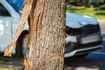 Close-up of bark damage on tree with wrecked car in the background, impact of vehicle collision and...
