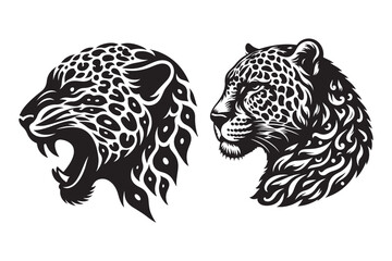 head of tiger and cheetah © BejoyRaj