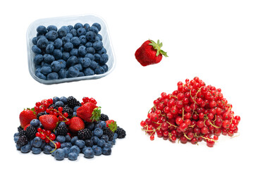 Blackberry, raspberry, blueberry,  red currant and mint background.