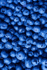 Fresh blueberry background. Texture blueberry berries close up.
