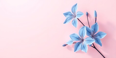 Fototapeta premium frame with flowers