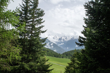 nature in the Dolomites mountains