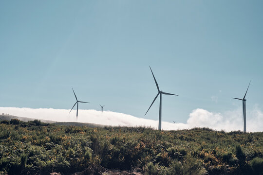 Energia rinnovabile prodotta da un parco eolico immerso nel verde.