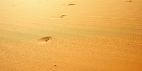 Golden Desert Sand with Footprints A Textured Background
