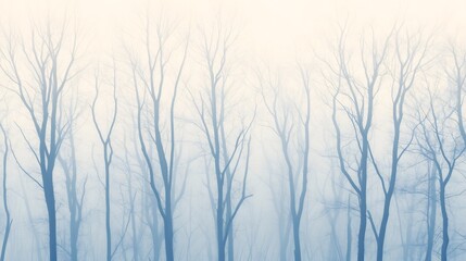 Obraz premium Enchanting Misty Forest Backdrop with Soft Lighting for Nature,Adventure,or Wellness Visuals