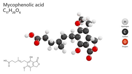Molecule: Mycophenolic Acid. Immunosuppressant. Molecular structure. Formula: C17H20O6. Chemical model: Ball and stick. White background. 3D illustration.