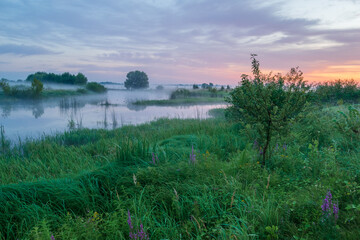 Naklejka premium sunrise over swamp