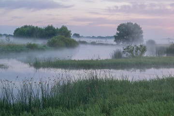 misty morning on the river