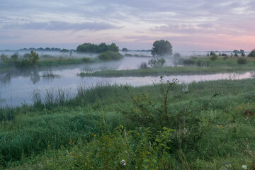 misty morning on the river
