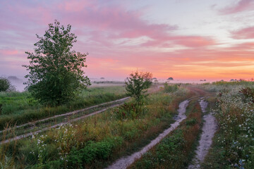 sunrise in the field