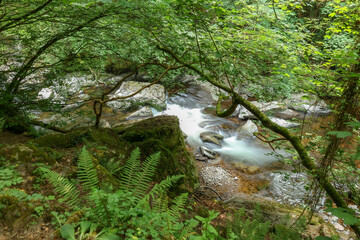 Exmoor National Park, mountain river in the village of Lynmouth Devon Great Britain