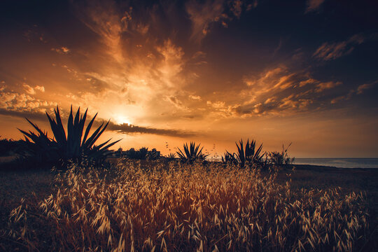 Sunset over a coastal landscape and Mediterranean Sea, Northern Cyprus, Turkey