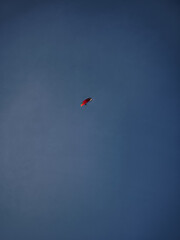 Paraglider flying in blue sky over chamonix, french alps