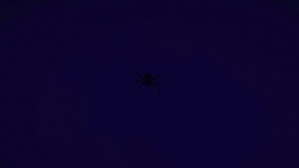 Fototapeta premium Mysterious Midnight A Single Silhouette of an Arachnid Against a Deep Blue Background