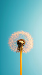 Fototapeta premium Feel free flying concept. A vibrant dandelion puff against a bright blue sky, showcasing nature's beauty and the delicate details of its seeds ready for dispersal.