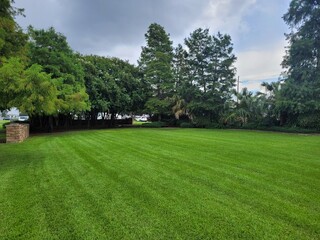 landscape in the park