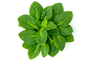 A bunch of fresh spinach leaves, isolated on white background