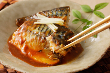 鯖の味噌煮　Mackerel simmered in miso