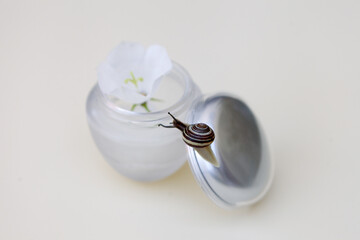 skin care cream with snail skin care gel in glass jar close up. Beauty treatment product texture macro.