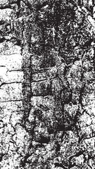 Black tree bark texture. Bark on a white background. Old tree background vector, wooden, grunge texture.