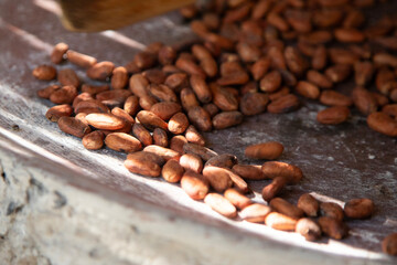 A woman in Oaxaca Mexico roasting cocoa beans on a comal in a wood-burning stove.