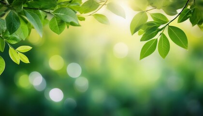 Obraz premium lush green foliage and soft bokeh for a tranquil natural background