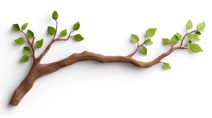 Obraz premium [Mindful Living sustainability wellbeing] Diagonal Branch Photography with Simple Background for Presentations & Educational Content