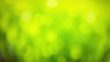 Obraz premium Abstract Lime Green Nature Background with Soft Focus and Blurred Details