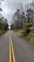 The black coastal landscapes and lava beaches from the active volcanoes on the big island of...