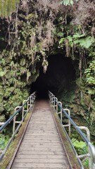 The black coastal landscapes and lava beaches from the active volcanoes on the big island of...