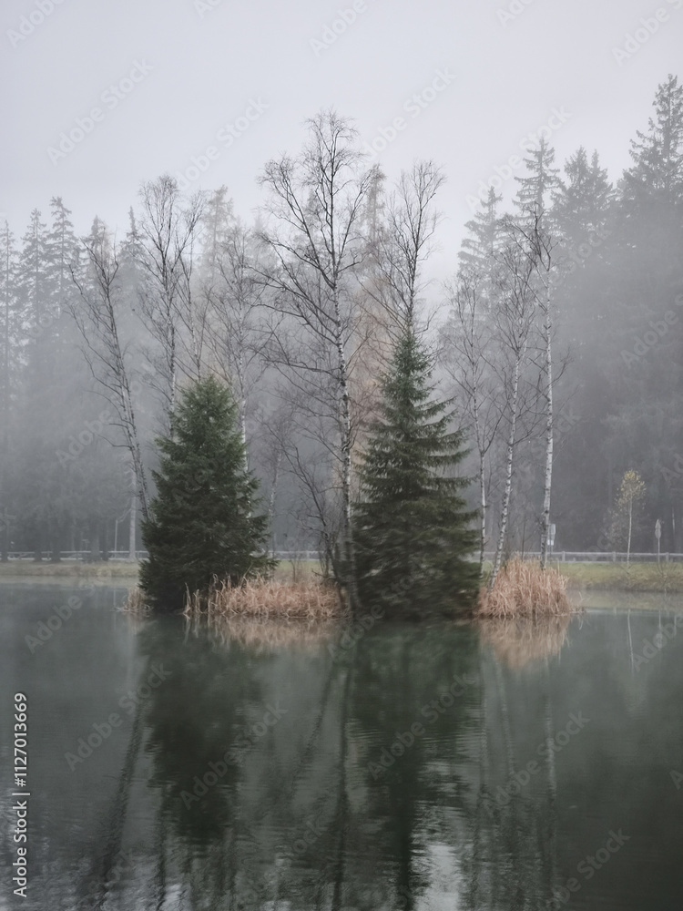 Poster fog enveloping small island with evergreen trees in chamonix lake gaillands november