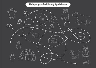 Labyrinth, Maze game for children. Logical puzzle for kids. Quest to find the right path for a penguin to his home. Vector illustration.