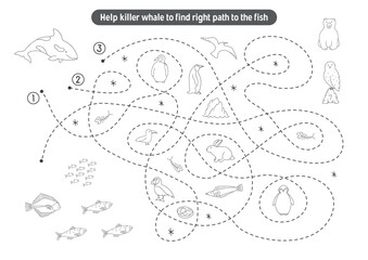 Labyrinth, Maze game for children. Logical puzzle for kids. Quest to find the right path for a Killer whale to the fish. Vector illustration.