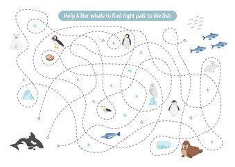 Labyrinth, Maze game for children. Logical puzzle for kids. Quest to find the right path for a Killer whale to the fish. Vector illustration.