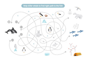 Labyrinth, Maze game for children. Logical puzzle for kids. Quest to find the right path for a Killer whale to the fish. Vector illustration.