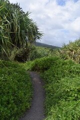 The dramatic and stunning lush green coastal landscapes of Maui Island, Hawaii