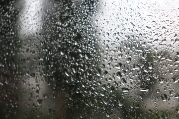 rain drops on window