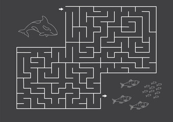 Labyrinth, Maze game for children. Logical puzzle for kids. Quest to find the right path for a Killer whale to the fish. Vector illustration.