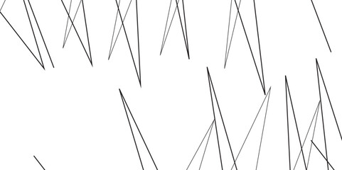 Abstract black and white liens with many squares and triangles shape on white background. Abstract black diagonal lines and luxury elegant pattern background.abstract simple chaotic thin line pattern.